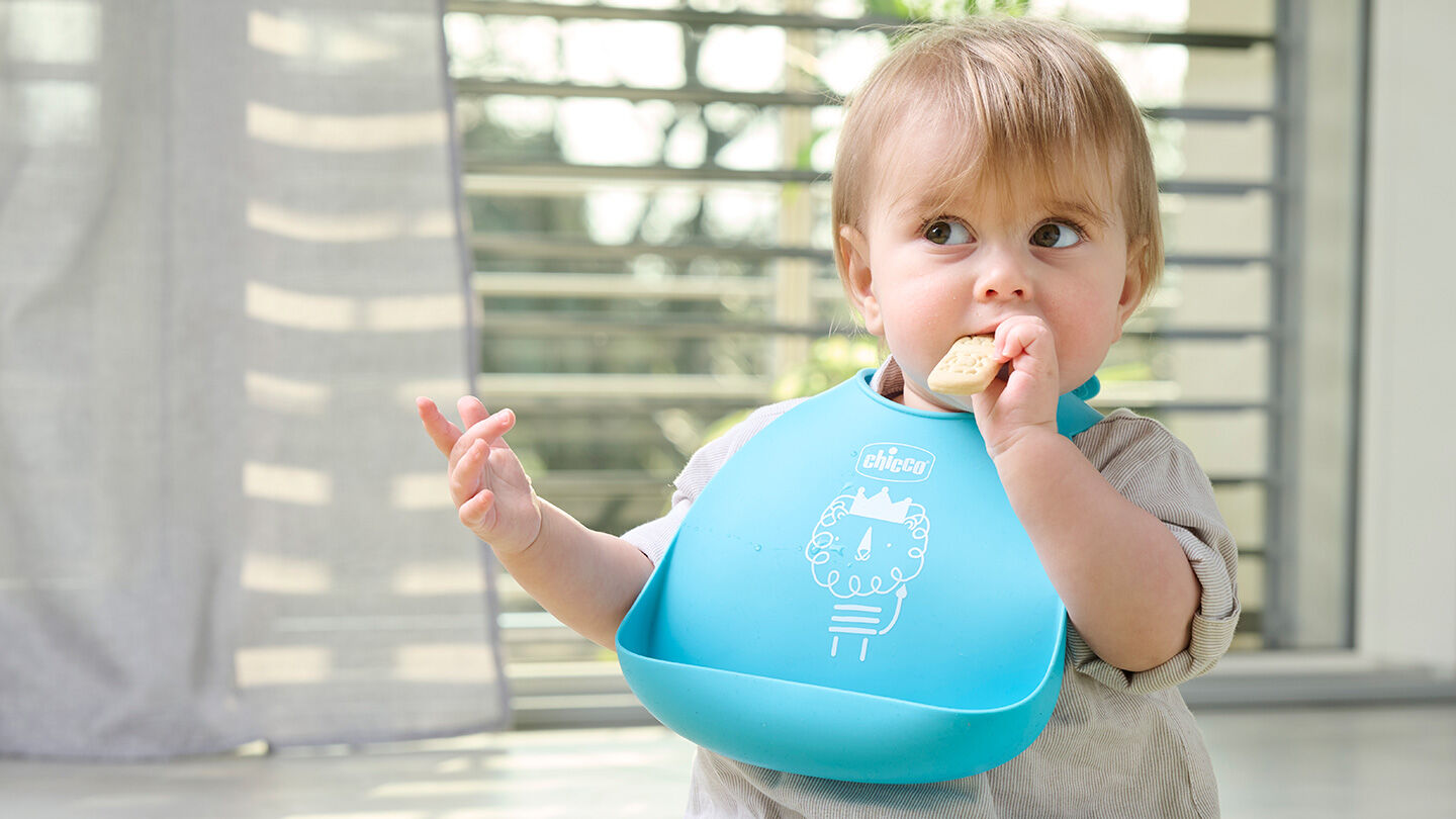 Autoalimentación: qué es, cuándo y cómo empezar